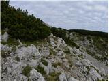 Planina Ravne - Kocbekov dom na Korošici